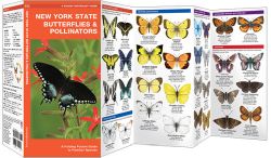 New York State Butterflies & Moths