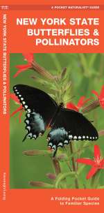 New York State Butterflies & Pollinators - Pocket Guide