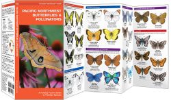 Pacific Northwest Butterflies & Moths