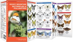 Rocky Mountain Butterflies & Moths