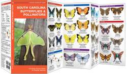 South Carolina Butterflies & Pollinators