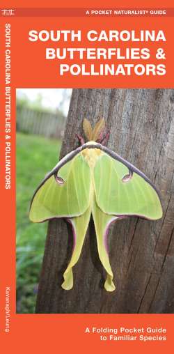 South Carolina Butterflies & Pollinators