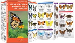 West Virginia Butterflies & Moths