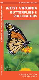 West Virginia Butterflies & Pollinators - Pocket Guide