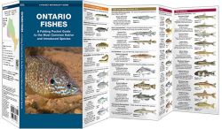 Ontario Fishes - Pocket Guide