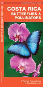 Costa Rica Butterflies & Pollinators - Pocket Guide