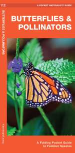 Butterflies & Pollinators - Pocket Guide