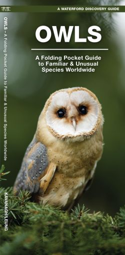 Owls - Pocket Guide