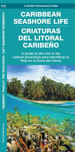 Caribbean Seashore Life (Criaturas Del Litoral Cribeno) - Pocket Guide