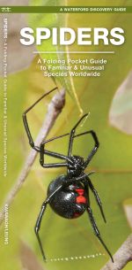 Spiders - Pocket Guide