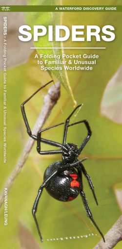 Spiders - Pocket Guide