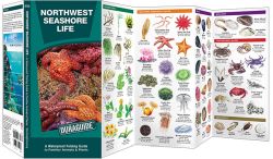 Northwest Seashore Life-DURAGUIDE - Pocket Guide