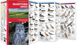 Manitoba Birds - Pocket Guide