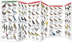 Manitoba Birds - Pocket Guide