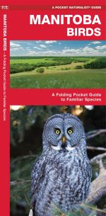 Manitoba Birds - Pocket Guide