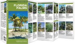 Florida Palms - Pocket Guide