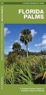 Florida Palms - Pocket Guide
