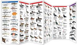 California Seashore Life - Pocket Guide