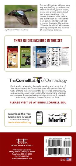 Waterfowl ID Set - Pocket Guide