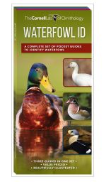 The Cornell Lab of Ornithology Waterfowl ID Guides - Set of 3 Pocket Guides