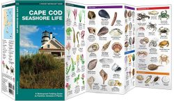 Cape Cod Seashore Life - Pocket Guide