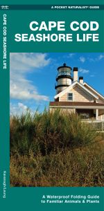 Cape Cod Seashore Life -Waterproof Pocket Guide